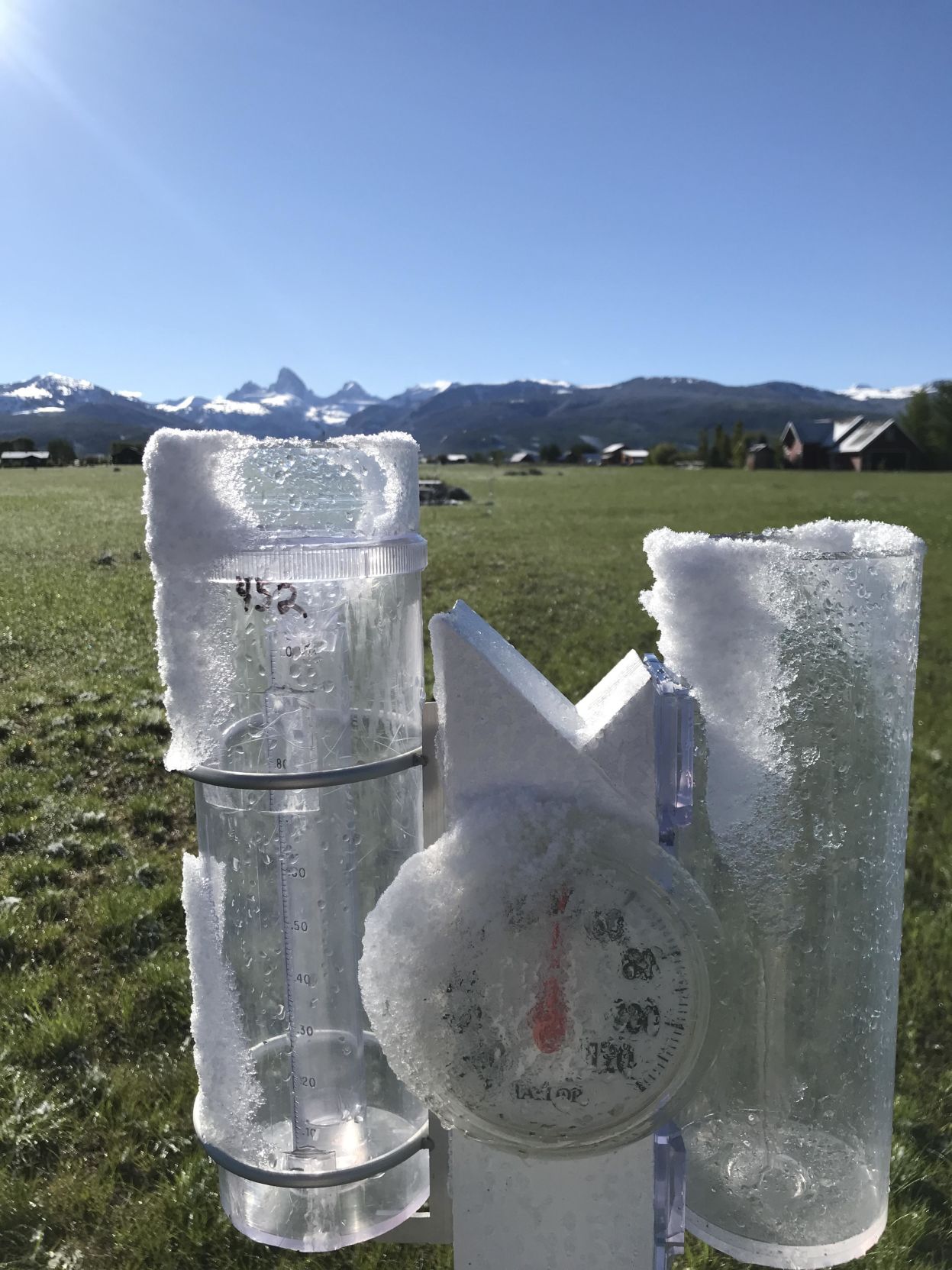 June Snow